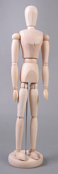 Дрвен модел човечко тело - маж - 40 cm