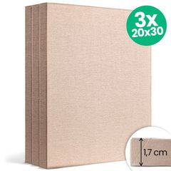 Комплет од 3 платна за сликање NATURE ECO