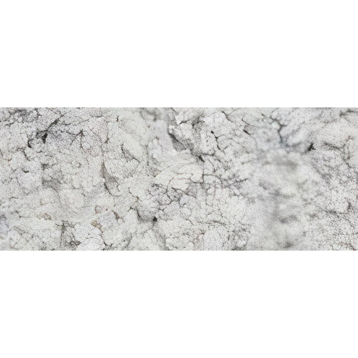 Пигмент Renesans 1000 гр | pearl white