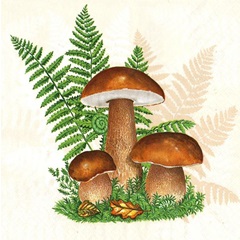 Салфетки за декупаж Boletus with Leaves of Fern - 1 парче