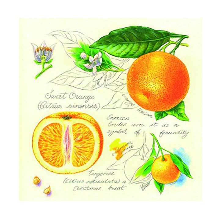 Салфетки за декупаж Портокали - 1 производ