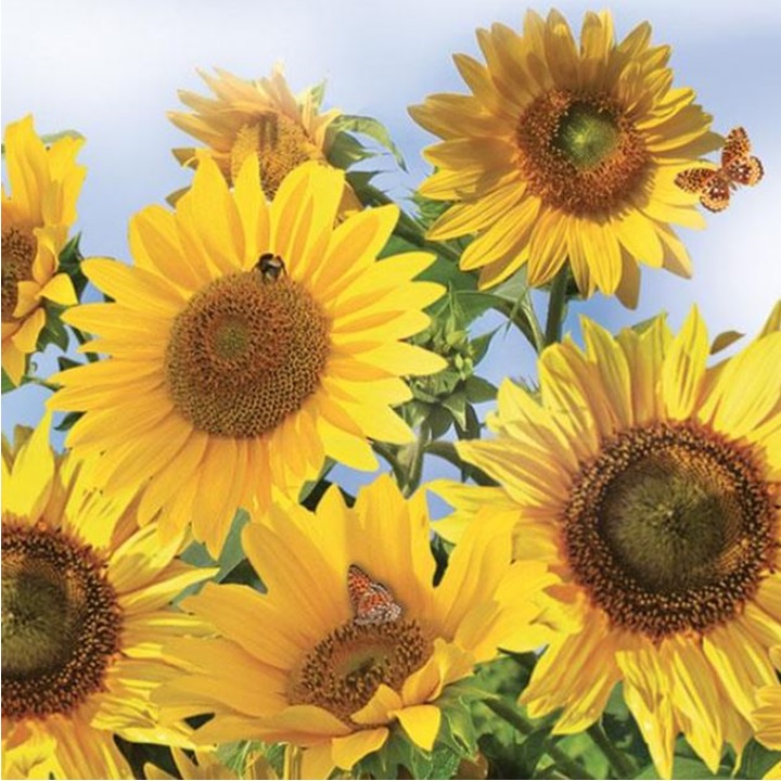 Салфетки за декупаж Sunflowers in the Sky - 1 парче