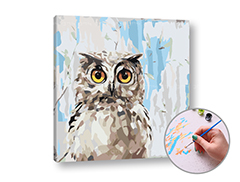 Сликање по бројки MUDRA Owl | мала тежина